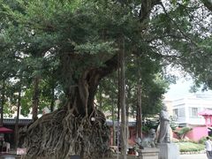 -闽粤南澳总镇府