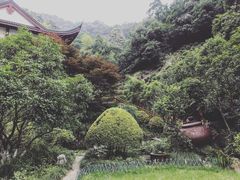 -十八棵（老龙井）御茶园(老龙井店)