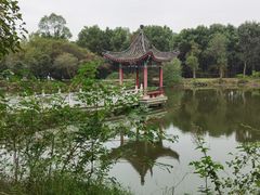 -青龙山国家森林公园