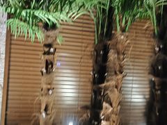 -良子健身·竹Spa(五四广场店)