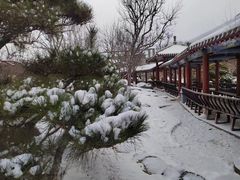 -中国唐苑