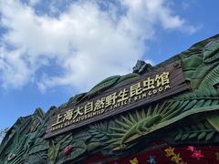 -上海大自然野生昆虫馆(东方明珠·爬宠昆虫探索中心)