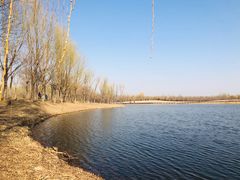 -东郊湿地公园