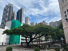 -香港大学