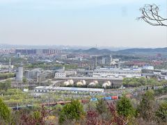 -白水寺森林公园