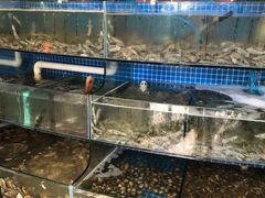 水产区-蟹谢蒸鲜自助餐厅