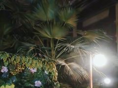 -郑州银基黄帝宫御温泉