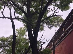 -塔尔寺