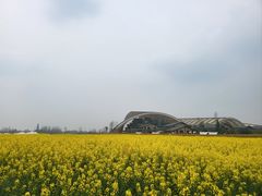 -中国天府农业博览园