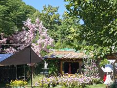 -HERRE·FARM 赫尔露营农场·团建聚会包场