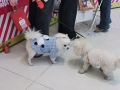 -凯德广场(西城店)