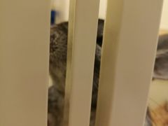 -龙猫仔乐园(惠福东路店)