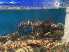 -蓝珊甄选海鲜自助·火锅大排档(近阿那亚店)