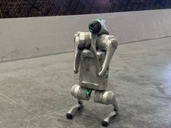 -极限PLAY运动娱乐新世界·团建派对潮玩休闲馆·室内蹦极高空游乐园