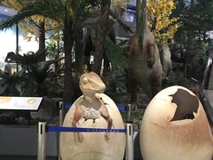 -湖南省地质博物馆