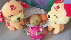-重庆安琪儿妇产医院-妇幼保健联盟医院