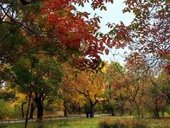 -国家植物园南园