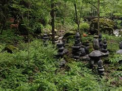 -茅兰沟国家森林公园