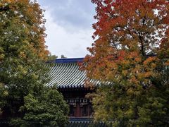 -灵谷景区