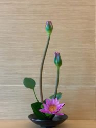 -圣贝拉母婴护理中心(广州瑰丽店)