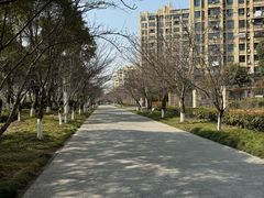 -高东镇樱花园
