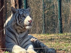-秦皇岛野生动物园