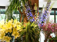 -春暖花开(西溪店)