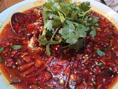 毛血旺-贝贝龙虾·音乐餐厅(昌平东关店)