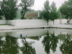 -向外鱼乐·土菜·虹鳟鱼