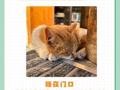 -申普宠物医院·眼科·心内科·影像科(普陀分院)