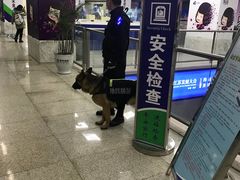 -SFC上影影城(南京新城市广场店)