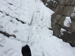-塞哥维亚输水道