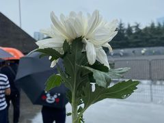 -侵华日军南京大屠杀遇难同胞纪念馆