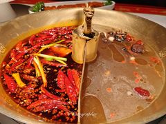 -小龙翻大江文化火锅(宽窄店)