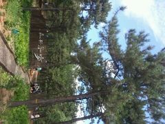 android_upload_pic-北京西山国家森林公园