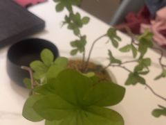 -国惠大酒楼(宝龙店)