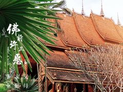 -西双版纳傣族园
