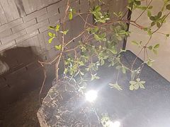 -上座云间·青年赣菜(绿茵店)