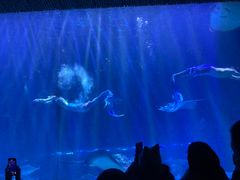 -华夏文旅海洋公园