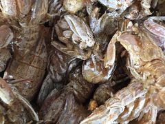 -宾朋海鲜特色美食餐厅·纯手工鲅鱼水饺(兴海路店)