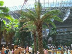 -渔岛海洋度假区