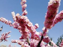 -西安汉城湖景区