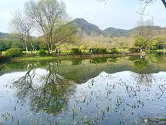 -八卦田遗址公园