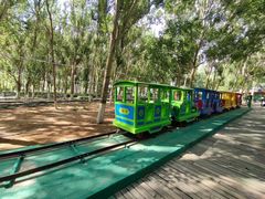 -长白岛森林公园