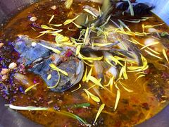 -红牌美蛙鱼头火锅(万辉国际广场店)