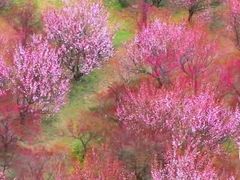 -蜀冈西峰生态公园