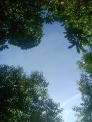 点击看大图 -韩美绣·骨相纹眉·洗眉美瞳线