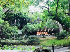 -香港大学