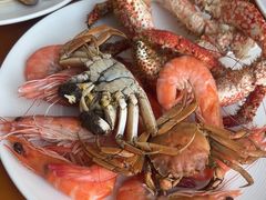 -视界美食自助餐厅·石家庄希尔顿酒店