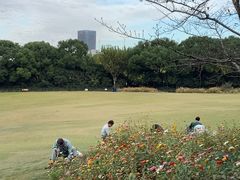 -黄兴公园